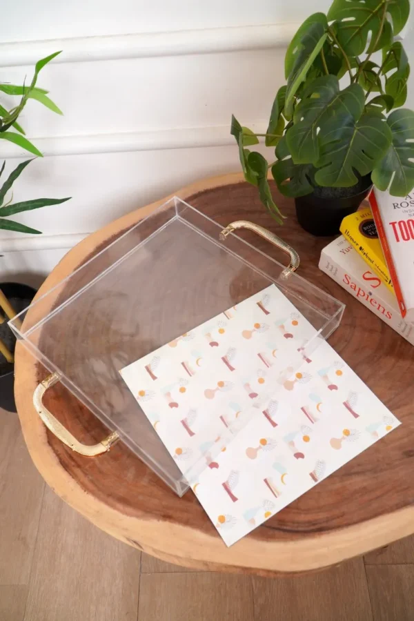 Slide-In Metal Handle Acrylic Tray