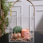Transparent acrylic gift box styled in a modern interior setting with plants in background.